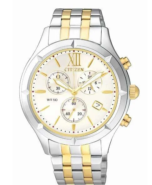 Citizen Two Tone  Watch FA0024-53A